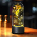 LED glass cloche with Immortal Rose and Bluetooth speaker